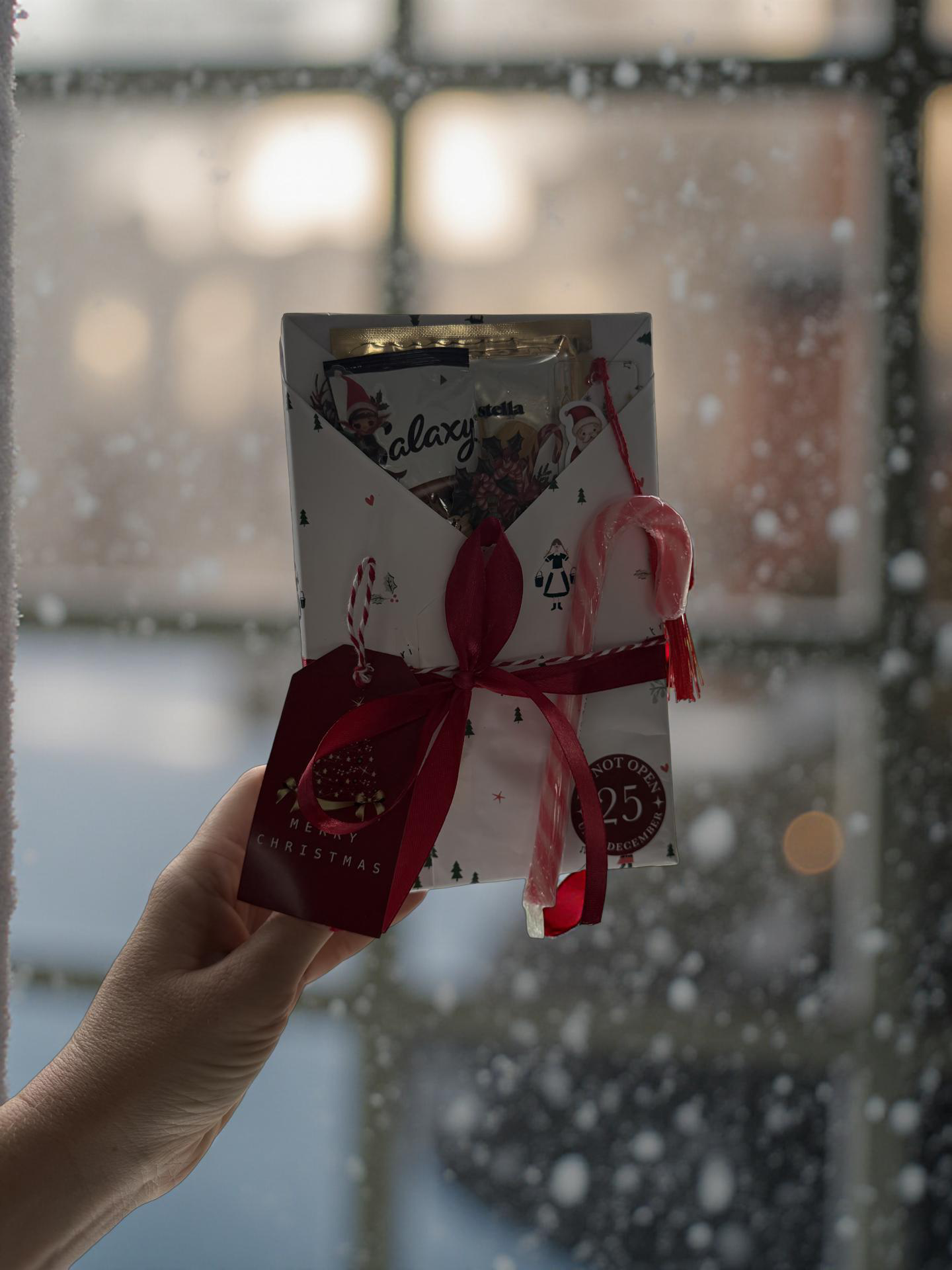 Blind Date With a Book – Christmas Edition